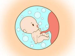 亲子鉴定胎儿采样方法