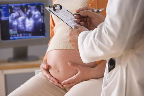 海南孕期胎儿亲子鉴定应该怎么办理