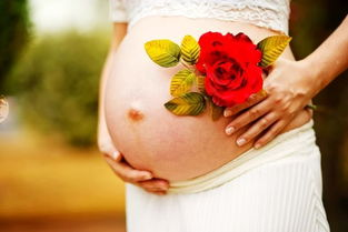海南孕期胎儿验血亲子鉴定有什么要求？